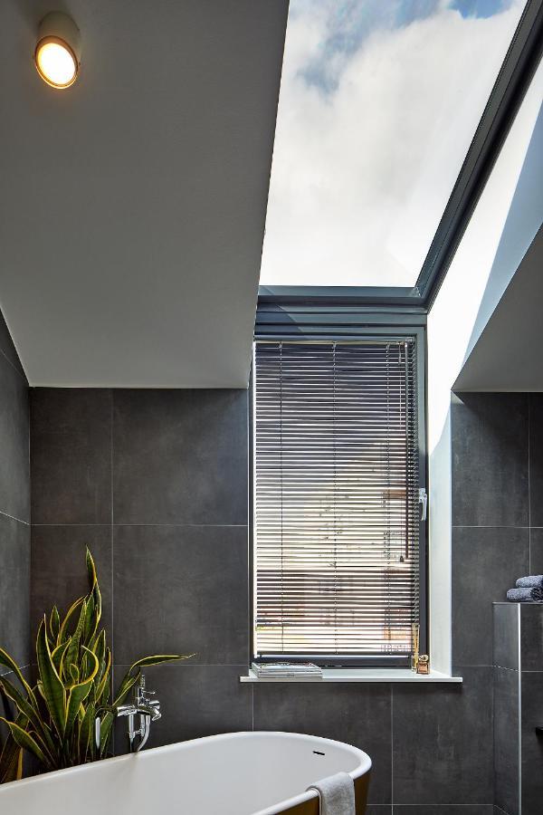 High Ceiling Loft With Its Own Backyard And A Terrace